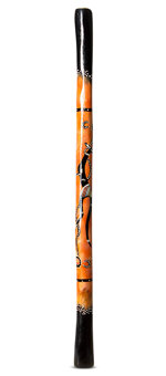 Leony Roser Didgeridoo (TW909)
